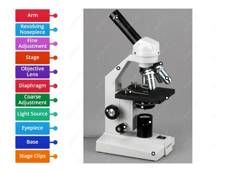 Microscope Label 的图像结果