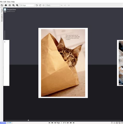 Image result for Java PDF Viewer