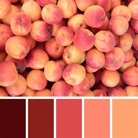 20+ Best Maroon Color Palettes (Colors That Go With Maroon ...