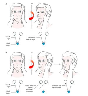 Image result for Hints Test Examples