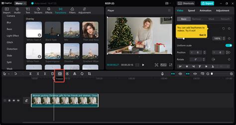 Beginner's Guide to Creating a Freeze Frame in Final Cut Pro