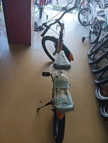 Cycle Model 的图像结果