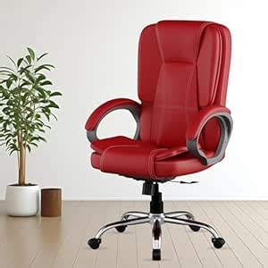 FUGO FG13B Ergonomic Office Chair with Adjustable Height, Cushioned ...