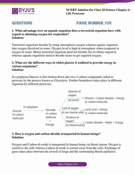 Class 10 Science Chapter 6 All Processes 的图像结果