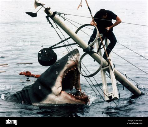 JAWS 1975 Universal film Stock Photo - Alamy
