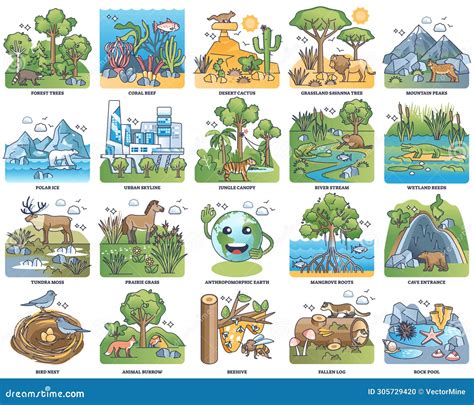 Image result for Habitat Example