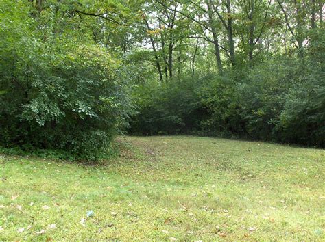 Free Images : landscape, tree, nature, forest, grass, trail, lawn, meadow, leaf, flower, green ...