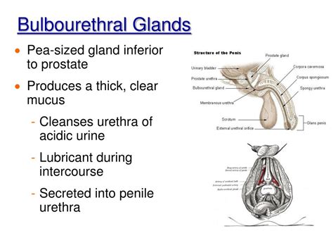 Image result for Reflective Notes Example