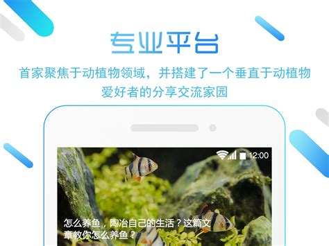 雅好app应用商店展示页面_wangyp-站酷ZCOOL