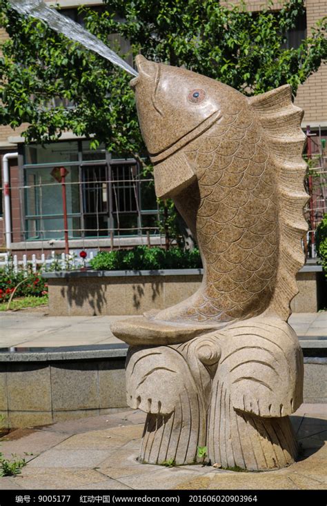 巨型鲤鱼雕塑现郑州街头 造价80万只能看——人民政协网