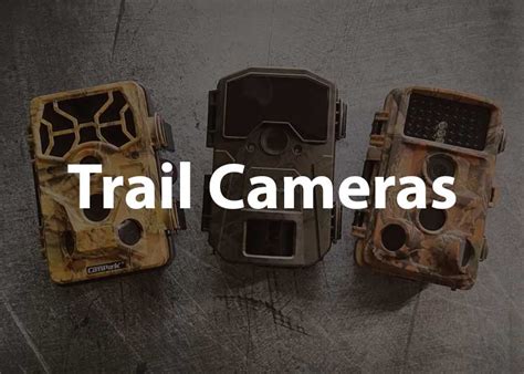 Trail Camera to Computer 的图像结果