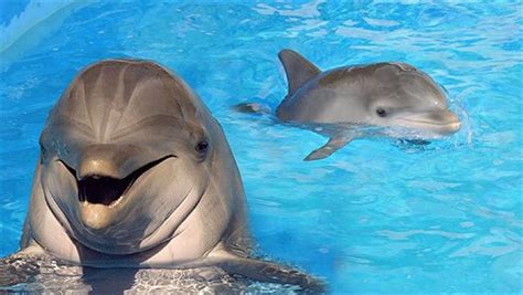 Alanya Wycieczki Fakultatywne