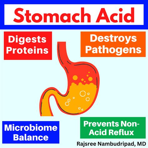 What Causes You To Vomit Stomach Acid at Mackenzie Balfour blog