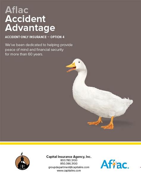 Image result for Aflac Auto Insurance