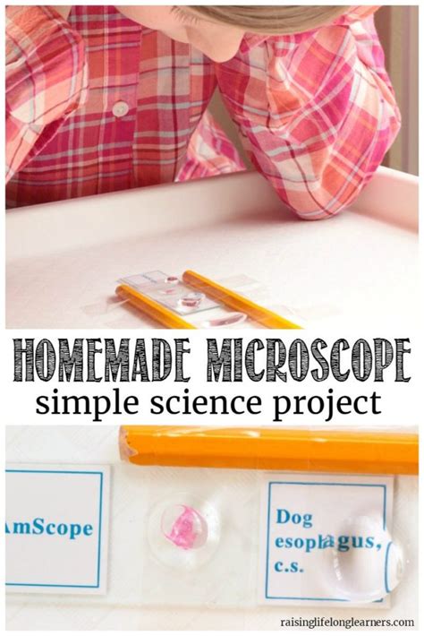 Image result for Homemade Microscope Projects