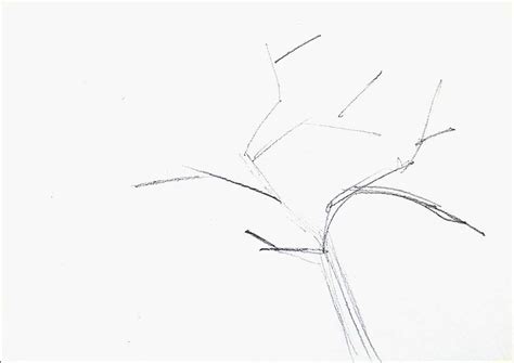 Sketching Tree Limbs 的图像结果