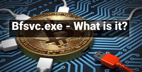 BFSVC Error 的图像结果