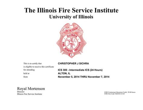 Image result for ICS 100 Certification