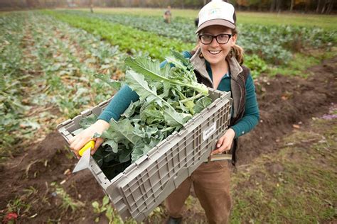 Image result for Farm Tutorial