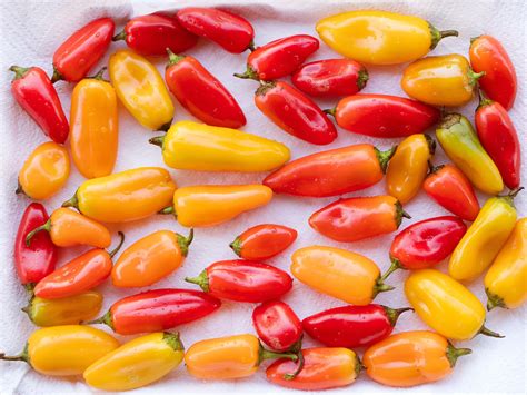 10 Ways to Enjoy Sweet Mini Peppers: Food Network Recipes