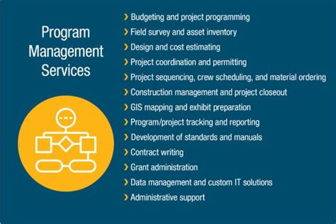 Image result for Program Management Services