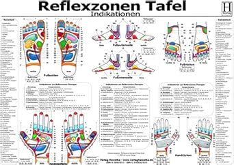 Amazon.in: Buy Reflexzonen Tafel. Indikationen. DIN A3 Book Online at ...