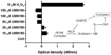 Increased Prolylcarboxypeptidase Expression Can Serve as a Biomarker of ...