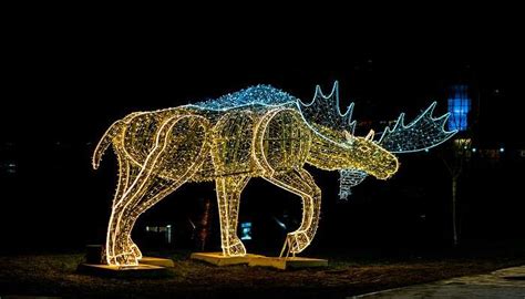 Niagara Falls Festival Of Lights: Complete Guide 2026