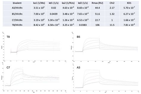 Harnessing Fc/FcRn Affinity Data from Patents with Different Machine ...