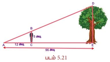 வடிவொத்த முக்கோணங்கள் - வடிவியல் | அலகு 5 | 8 ஆம் வகுப்பு கணக்கு ...