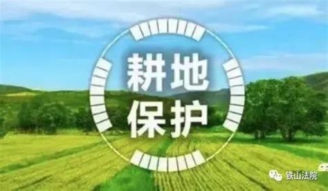 土地边界惹纠纷，人民调解促和谐（图）-澄城-渭南政法网