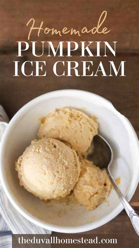 Homemade Pumpkin Ice Cream (Without Heavy Cream Option) - The Duvall Homestead