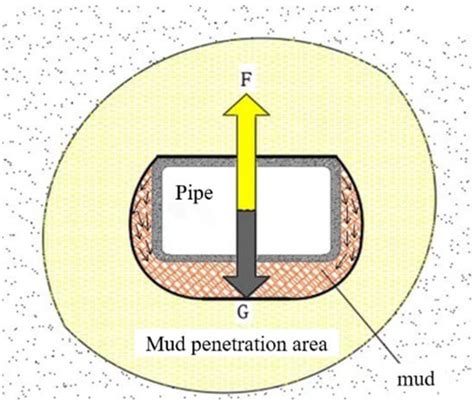 Numerical Simulation Study on Evolution Process of Carrying-Soil Effect ...