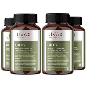 Jiva Giloy - 60 * 4 Capsule for Digestion | 100% Pure & Natural ...