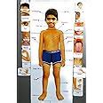 FUTUREZ KEY Wooden Magnetic Parts of Body Educational Learning Puzzle ...