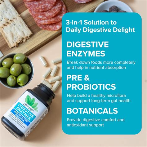 ZenwiseHealth Zenwise Probiotic Digestive Multi Enzymes - Gut India | Ubuy