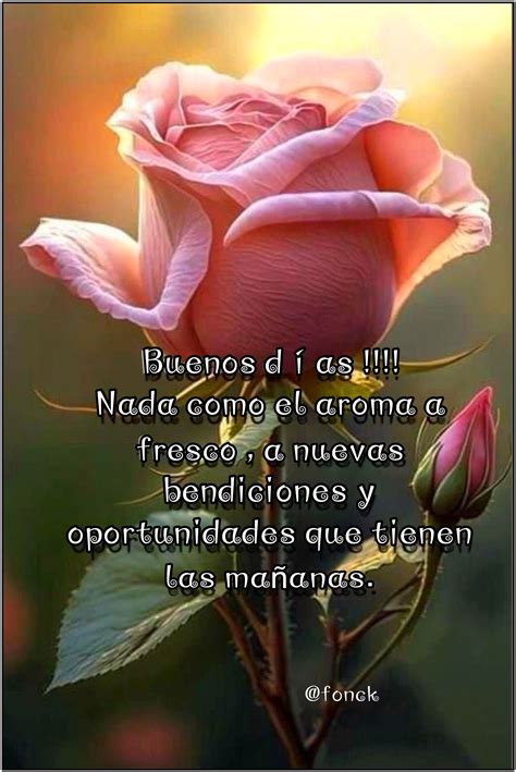 Good Morning Quotes in Spanish | Canción de buenos días
