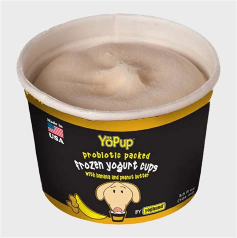 Can Dogs Eat Vanilla Yoghurt