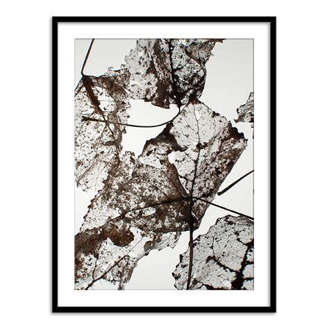 Leaves – Calcuttan