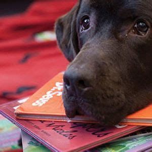 Reading with Rover at the Family First Community Center!, 16200 116th ...
