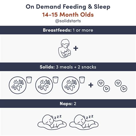 Baby Feeding Schedules by Month - From 6 to 24 Months - Solid Starts