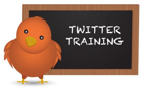 Twitter Training 的图像结果