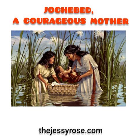 Who Is The Biological Mother Of Moses at Samantha Teed blog
