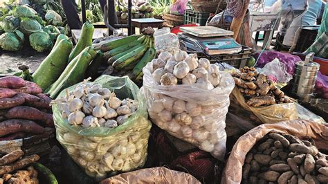 Rampant smuggling of banned Chinese garlic jeopardises sale of Indian ...