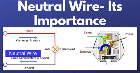 Testing Neutral Wire 的图像结果