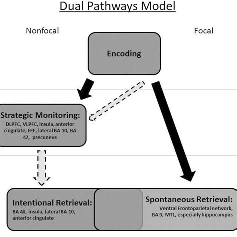 Memory Pathways 的图像结果