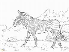 unicorn malvorlagen kostenlos pegasus zum ausmalen das beste 34 einzigartig unicorn unicorn malvorlagen kostenlos pegasus zum ausmalen das beste 34 einzigartig unicorn