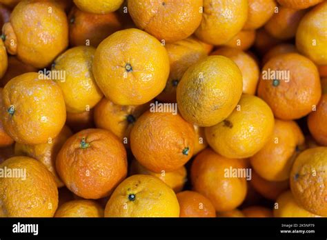 Fruit Market 的图像结果