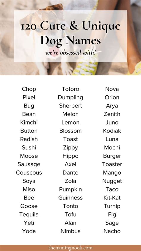 400 cutest small dog names male female – Artofit