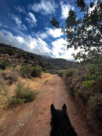 Explore Andros - Andros | Tripadvisor